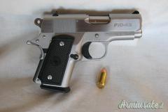 Para Ordnance P10-45 .45 ACP