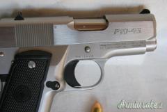 Para Ordnance P10-45 .45 ACP