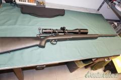 Remington Police .223 Remington