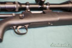 Remington Police .223 Remington