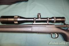 Remington Police .223 Remington