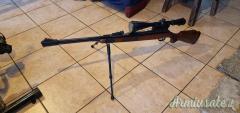 Diana 460 magnum  5.5