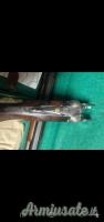 Beretta So4 monaco 12