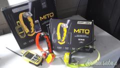 GPS portatile e collare Bitrabi Nuovo