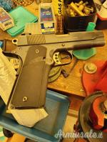 Colt combat commander .38 Super Auto