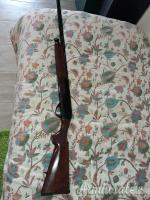 Benelli Raffaello Crio 28