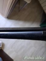 Benelli Raffaello Crio 28