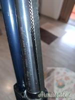Benelli Raffaello Crio 28