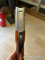Rizzini Artemis 20