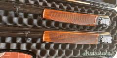 Rizzini Artemis 20