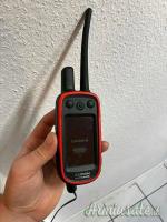 Collare Garmin Alpha 100/T5 con trasmettitore e ricevitore.