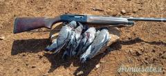 Beretta OUTLANDER 12