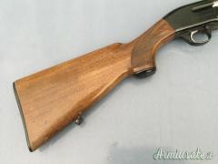 Beretta A300 12