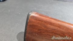 Beretta URIKA 20