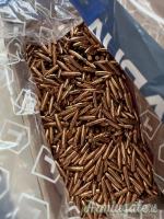 Palle Lapua Scenar-L OTM 69gr .224
