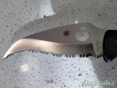 Spyderco Matriarch 2