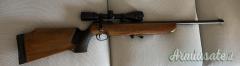 Walther | Carl KKM .22 Long Rifle con ottica Bushnell 4-12x40