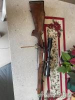 Sconosciuto 7 mm Remington Magnum