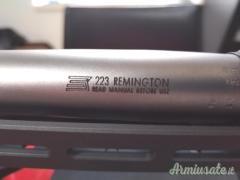 Savage 110 Elite Precision  .223 Remington