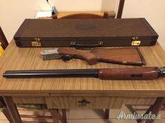 427 E tiro al piccione