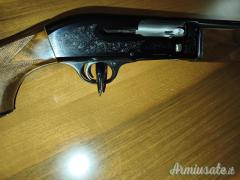 Beretta A301 20