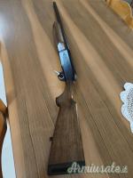 Beretta A301 20