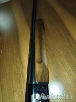 Beretta A301 20