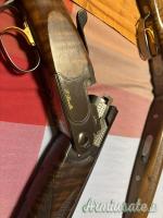 Beretta Vari 12
