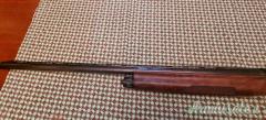 Benelli Giubileo  12