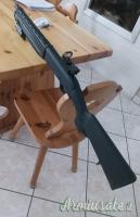 Hatsan Defender ecort magnum 12