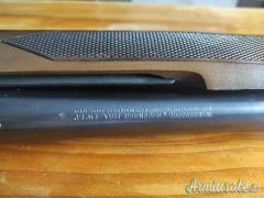 Winchester Defender 12