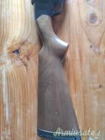 Winchester Defender 12