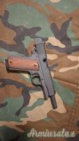 ROCK ISLAND ARMORY 1911 GI .45 ACP +CAPS