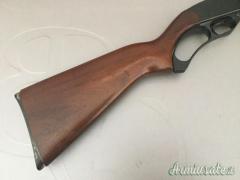 Winchester 250 .22 Long Rifle