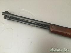 Winchester 250 .22 Long Rifle