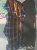 Collezione ex ordinanaza