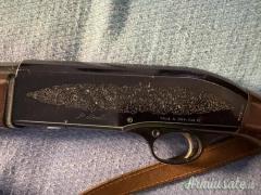 Beretta a301 12