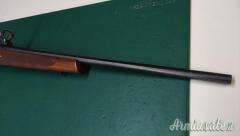Remington 700 .270 Winchester