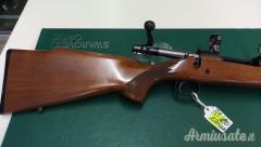 Remington 700 .270 Winchester