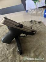 Sauer P229 .40 Smith & Wesson | Auto  |  10 x 21 mm
