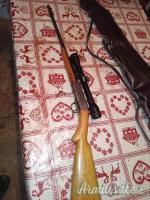 Browning Semiauto .22 Long Rifle