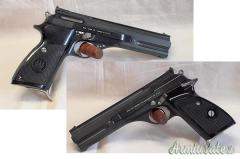 Beretta 76 .22 LR Long Rifle