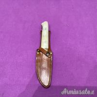 Lama Damasco