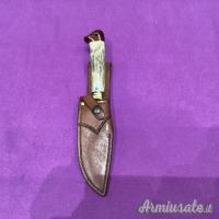 Skinner lama damasco