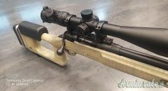 Savage MODEL 10 PREDATOR .308 Winchester