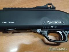 Derya Lion x-celerate 12