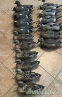 Stampi GHG – Green Head Gear Decoys