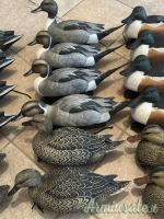 Stampi GHG – Green Head Gear Decoys