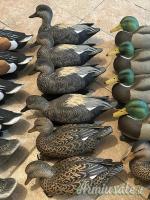 Stampi GHG – Green Head Gear Decoys