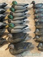Stampi GHG – Green Head Gear Decoys